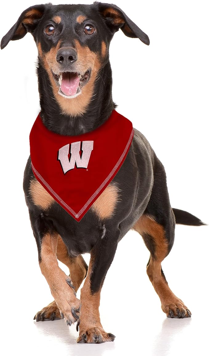 Pets First NCAA Wisconsin Badgers Tie Bandana, Small/Medium. Dog Bandana Scarf Bib for Pet Cat Dog. The Ultimate Game-Day, Party Bandana (WI-3550-S-M)