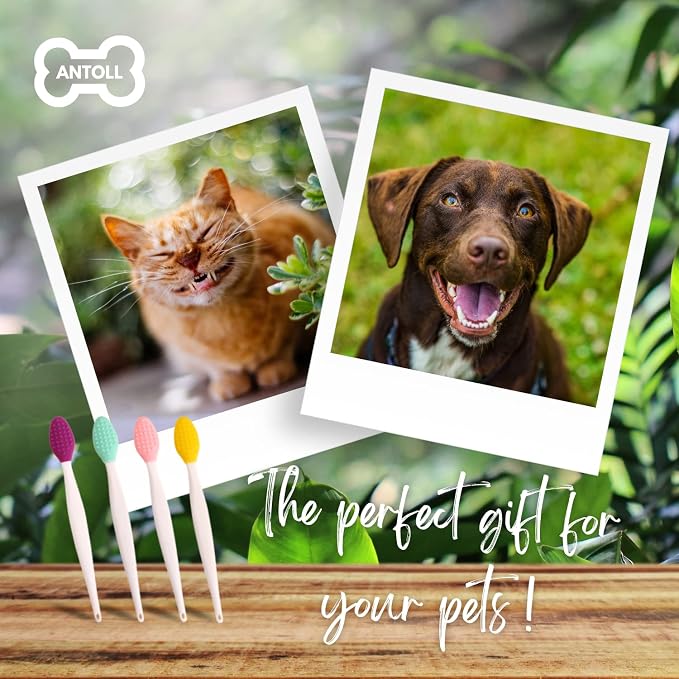 Pets Silicone Soft Head Dog cat with Toothbrush Dog cat Teeth Cleaning Health Care（4-Parks）