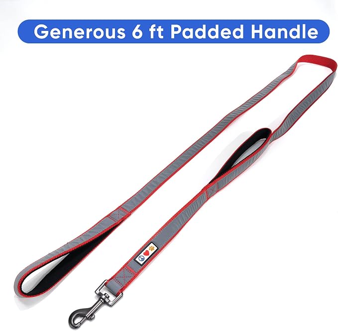 Pawtitas Double Handle Dog Leash Heavy Duty for Training No Pull Leashes Ideal for Medium and Large Dogs | Great for Walking, Running & Training Dog Leash - Medium/Large - Red