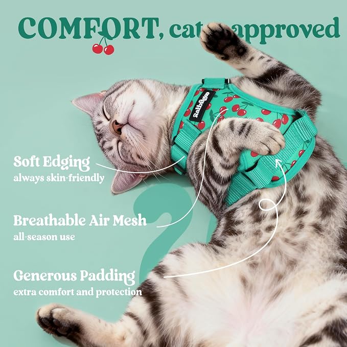 rabbitgoo Cat Harness and Leash Set, Escape Proof Vest, Cherry Grove | Soft Breathable Mesh, Easy Adjustable Fit, Snap Buckles, Sturdy Clip, Reflective Strips, for Kittens & Small Cats Walks, Xxs