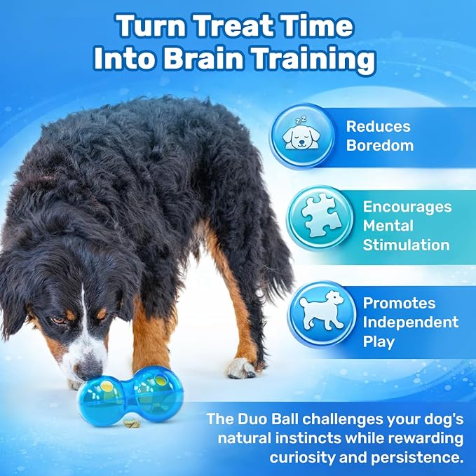 Guru Duo Ball - Interactive Enrichment Toy with Durable Rubber for Roll, Spin & Tumble Fun & Mental Stimulation - Perfect Interactive Dog Toy to Keep Dogs Busy and Occupied - Medium 7.25" Blue Dog Toy