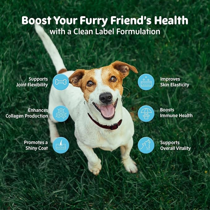 Liquid Collagen Drops for Dogs with Grass-Fed Bioactive Collagen Peptides - 4-in-1 Hip & Joint, Skin & Coat, Itch Relief Support with Vitamin C, Biotin & Hyaluronic Acid - for Dogs Ages