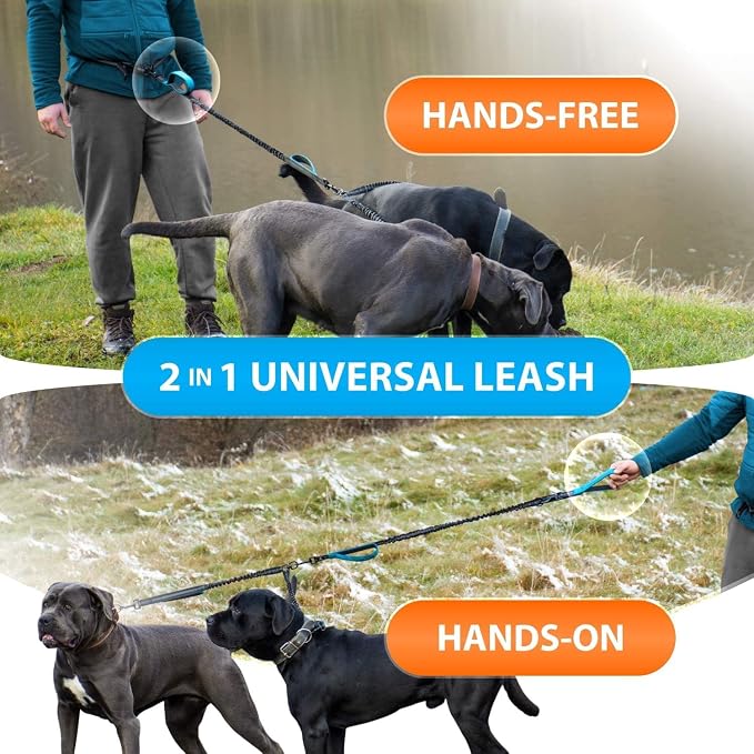 SparklyPets - Hands Free Dog Leash with Reflective Stitches - Waist Leash for Medium & Large Dogs Walking, Hiking, Training, Jogging, Canicross, Running