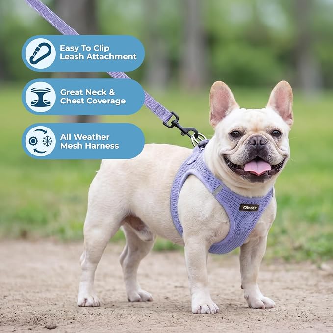 Best Pet Supplies Voyager Step-in Air All Weather Mesh Harness and Reflective Dog 5ft Leash Combo with Neoprene Handle, for Small, Medium and Large Breed Puppies - Lavender, M