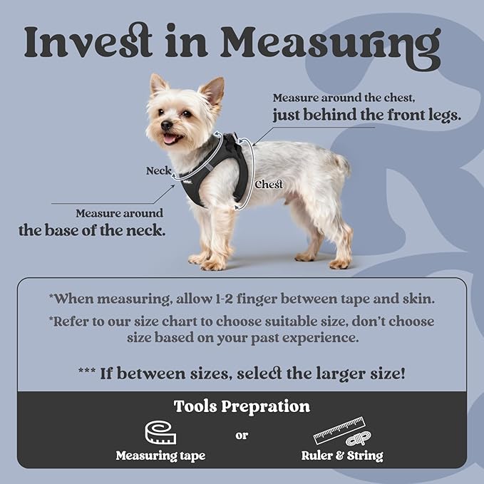rabbitgoo Step-in Small Dog Harness, Puppy Vest for Small Sized Pet | Easy Put on and off, Lightweight, Soft, Breathable Quick-Dry Air Mesh for Comfortable Secure Walking, Black XXXS