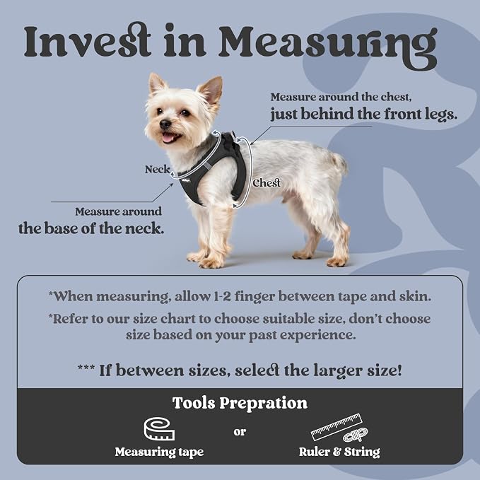 rabbitgoo Step-in Small Dog Harness, Puppy Vest for Small Sized Pet | Easy Put on and off, Lightweight, Soft, Breathable Quick-Dry Air Mesh for Comfortable Secure Walking, Black XS