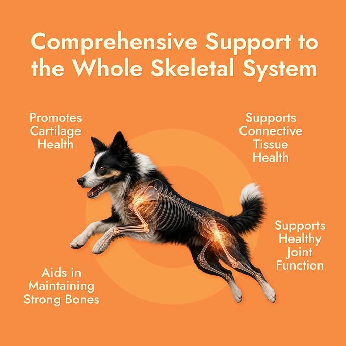 Pet Vet Hip & Joint Supplement for Dogs Glucosamine Beef Liver 60 Chews