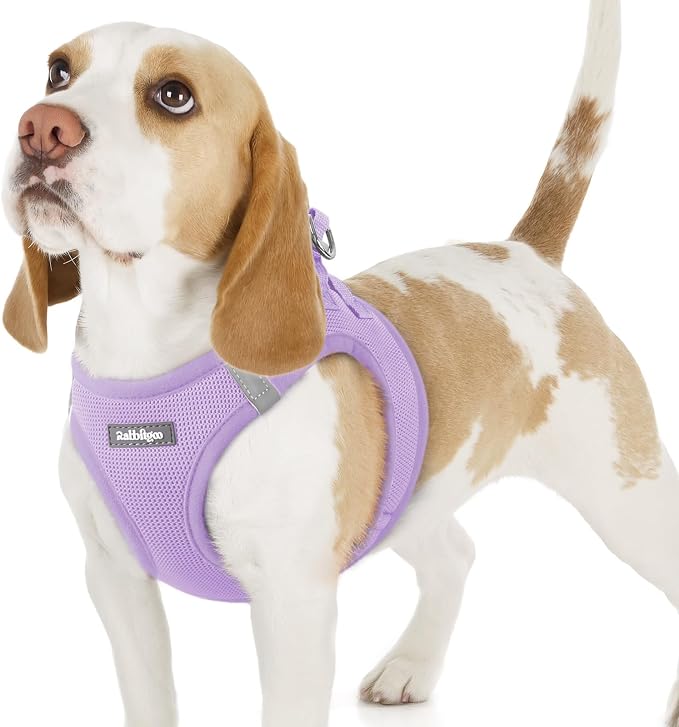rabbitgoo Step-in Small Dog Harness, Puppy Vest for Small Sized Pet | Easy Put on and off, Lightweight, Soft, Breathable Quick-Dry Air Mesh for Comfortable Secure Walking, Light Purple M