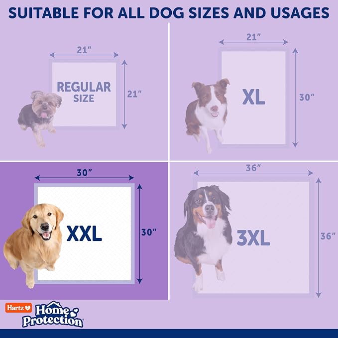 Hartz Home Protection Super Absorbent Odor Eliminating Lavender Scented No Leak Dog Pads, XXL 40 count