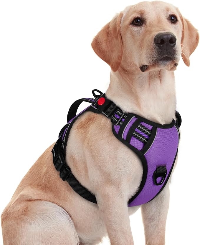 rabbitgoo Large Dog Harness, Easy Wear with 3 Buckles and Lift Handle | No Pull with Front Clip for Walking, Adjustable Soft Padded, Reflective, Easy Control, Purple, Medium