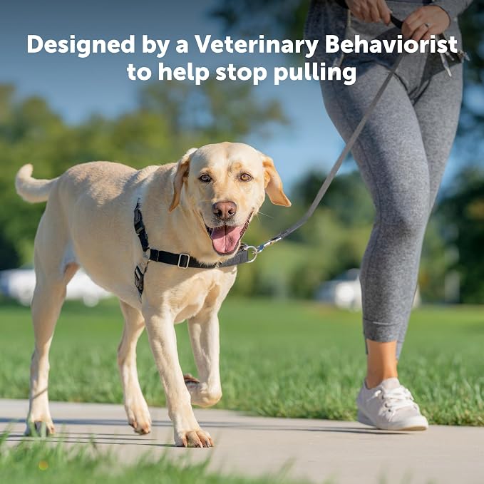 PetSafe Easy Walk Harness for Dogs - Pull-Free Walks - Patented Martingale Loop Design - Front Chest Leash Attachment - Comfort Straps - Breathable Harness Design - Large, Teal/Gray