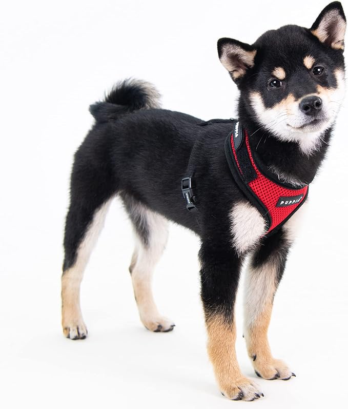Puppia Soft Superior Dog Harness Air Mesh Over-The-Head All Season No Pull No Choke Walking Training Adjustable Neck & Chest for Small & Medium Dog - RED - M