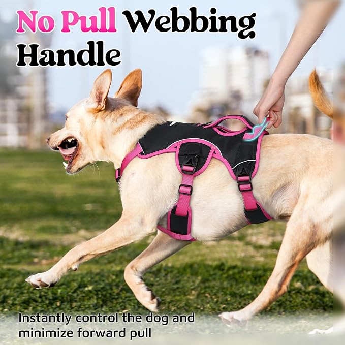 rabbitgoo Escape Proof Dog Harness for Large, No Pull with Lift Handle | No Escape, Full Soft Padded, Reflective Adjustable Vest, Leash Clip for Walking Hiking Training, Rose & Black, Large