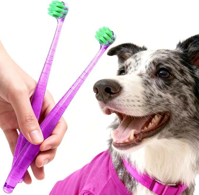 Dog Toothbrushes for Medium and Large Dogs&Cats, 2pcs, Ultra Soft Bristle, Long Durable Handle, Pet Tooth Brush and Dental Care Kit, Super Thin Bristle Gentle on Gum for Sensitive Pets, Red Violet