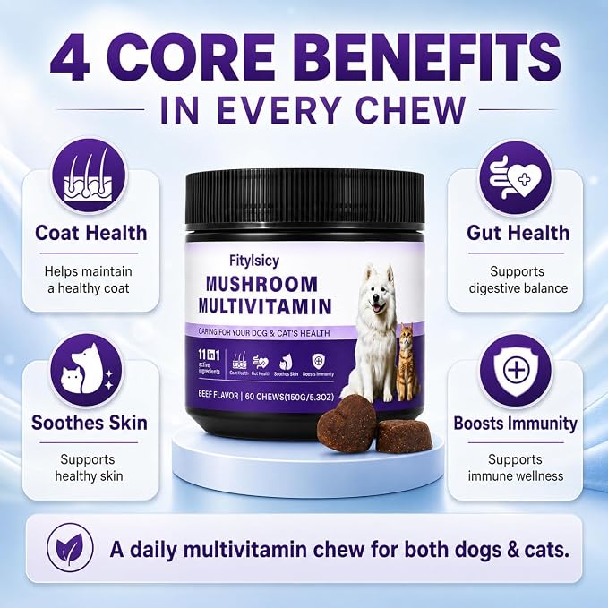 Mushroom Supplement for Dogs & Cats, 11-in-1 Pet Multivitamin Soft Chews, 13 Organic Mushrooms with Glucosamine, Chondroitin, MSM & Omega-3, Immune, Gut, Joint, Skin & Coat Support, Beef, 60 Count