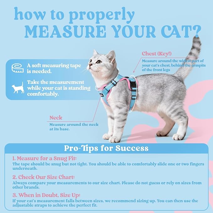 rabbitgoo Cat Harness and Leash Set, Escape Proof Vest, Light Blue & Pink | Soft Breathable Mesh, Easy Adjustable Fit, Snap Buckles, Sturdy Clip, Reflective Strips, for Medium to Large Cats Walks, M
