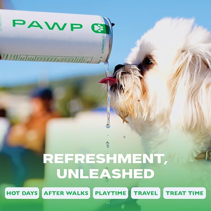 Coconut Hydration for Dogs by PAWP WATER | Organic Coconut Water | Natural Electrolytes for Hydration, Recovery & Everyday Wellness | 6 Resealable 12 oz Cans
