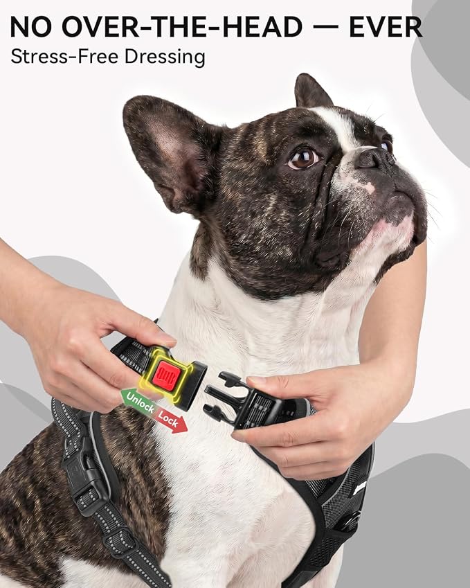 Joytale No Pull Dog Harness & Seat Belt, Easy On 3-Buckle, S, Black | Front Clip Reduces Pulling, Escape-Resistant Design, Adjustable Fit, Soft Padding for Comfort, Secure Tether for Safer Travel