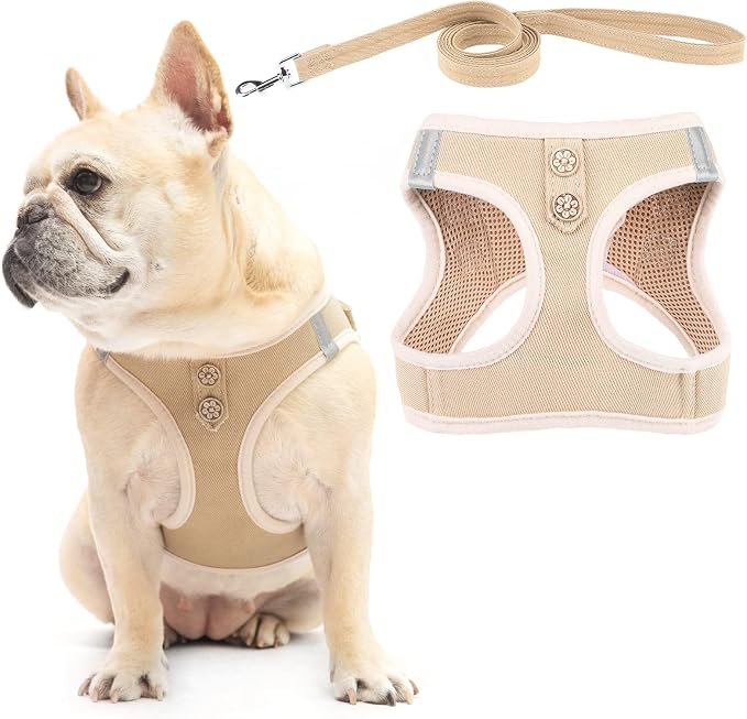 PUPTECK Dog Harness and Leash Set for Small Medium Dogs No Pull Step-in Soft Mesh Puppy Cat Vest Harnesses Reflective at Night, Denim Beige L
