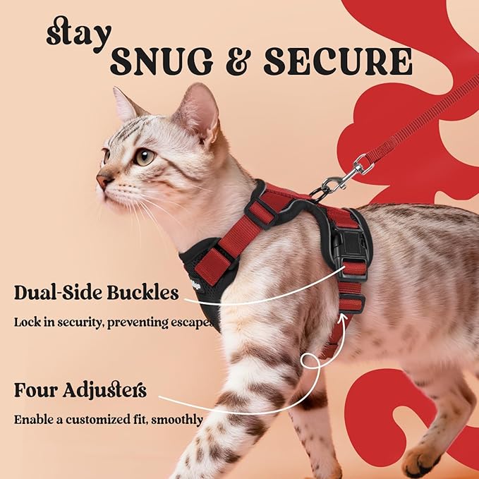 rabbitgoo Cat Harness and Leash Set, Escape Proof Vest, Black & Red | Soft Breathable Mesh, Easy Adjustable Fit, Snap Buckles, Sturdy Clip, Reflective Strips, for Kittens & Small Cats Walks, Xxs
