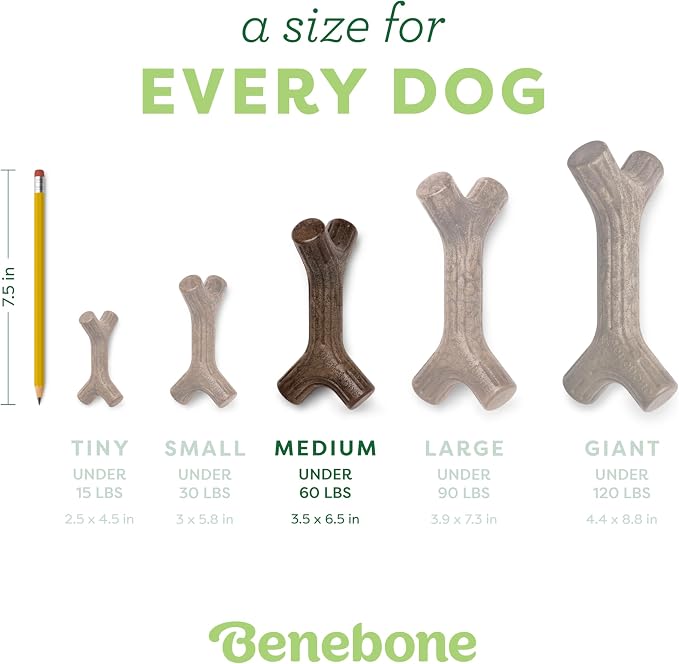 Benebone Maplestick Real Wood Durable Dog Chew Toy, Made in USA, Medium | Durable, Made in USA, Dog Bones, Long-Lasting, A Size for Every Dog, Keeps Them Busy