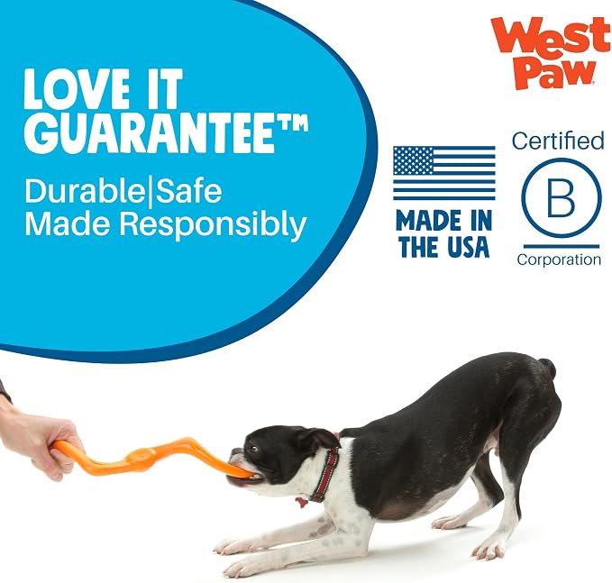 Zogoflex West Paw Design Bumi Dog Toy