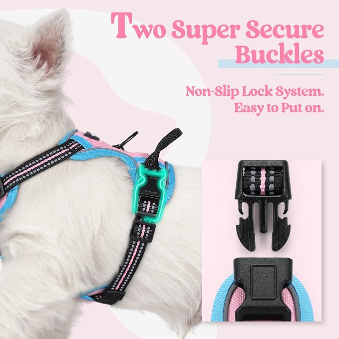 rabbitgoo Dog Harness, No Pull for Small Dogs with 2 Leash Clips, Pet Vest | No Choke with Handle, Adjustable Soft Padded, Reflective, Easy Control for Walking, Pink & Blue, X-Small