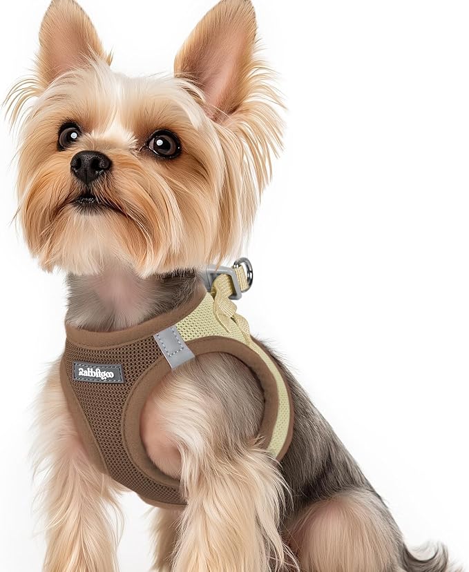 rabbitgoo Step-in Small Dog Harness, Puppy Vest for Small Sized Pet | Easy Put on and off, Lightweight, Soft, Breathable Quick-Dry Air Mesh for Comfortable Secure Walking, Brown & Beige XS