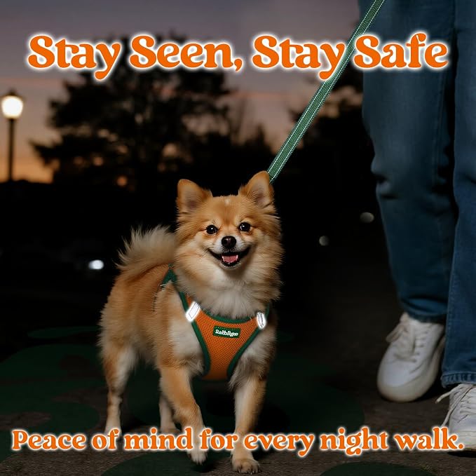 rabbitgoo Dog Harness Small Sized and Leash Set, Step in Soft Vest | Breathable Mesh, Easy Wear with Hook & Loop, Light and Reflective for Walking, Multi-colored, Orange & Dark Green, XXS