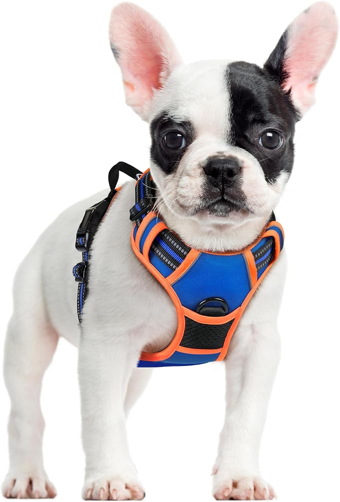 rabbitgoo Dog Harness, No Pull for Small Dogs with 2 Leash Clips, Pet Vest | No Choke with Handle, Adjustable Soft Padded, Reflective, Easy Control for Walking, Blue & Orange, Small