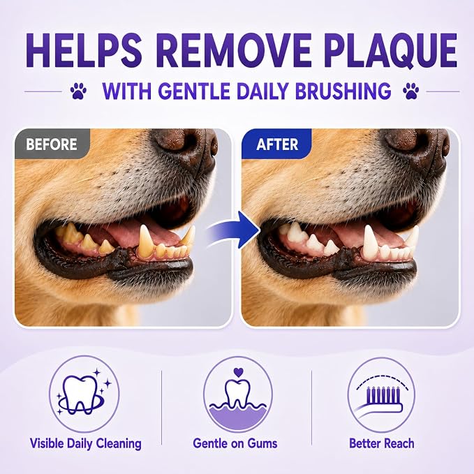 Dog Toothbrush, Dual-Head, for Medium-Large Dogs, Blue | Soft Bristles for Gentle Cleaning, 60° Curved Bristles for Better Coverage ,Comfortable for Sensitive Gums