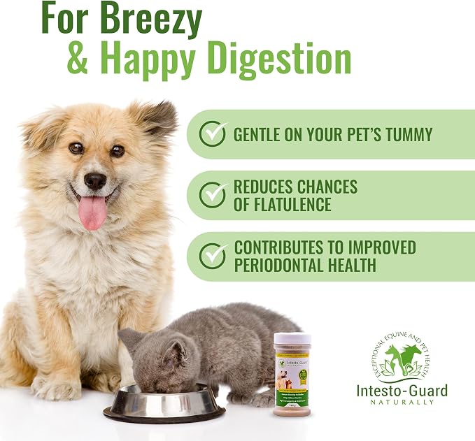Powder Dog Probiotic, Prebiotic Puppies, No Animal By-Products, 2-Gram Scoop Contains 1.5 Billion, Digestive Health, Gut Support, Immune Boost – Vet-Formulated Powder for Maximum Potency – 180G Bottle
