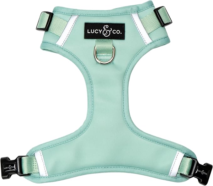 Lucy & Co. The Spring Green No-Pull Dog Harness - Size Small- Vest to Stop Pulling & Walk Easy - Comfortable Leash Training Product w/Adjustable Chest & Neck Straps