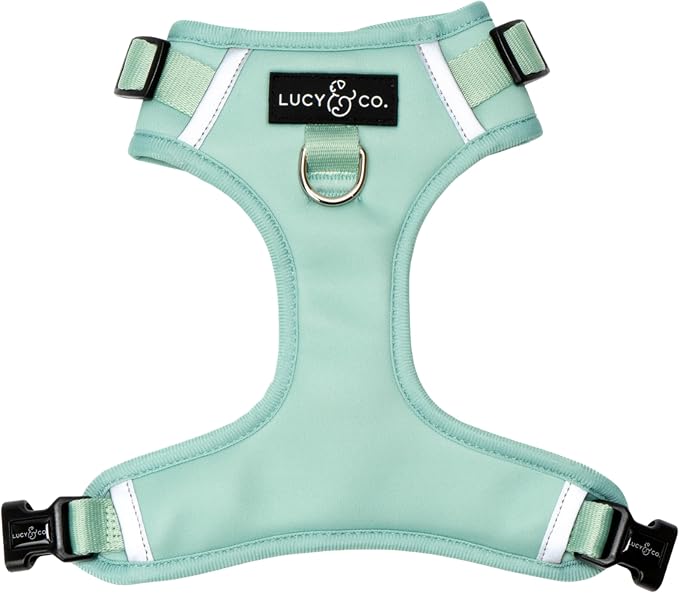 Lucy & Co. The Spring Green No-Pull Dog Harness - Size X-Large- Vest to Stop Pulling & Walk Easy - Comfortable Leash Training Product w/Adjustable Chest & Neck Straps
