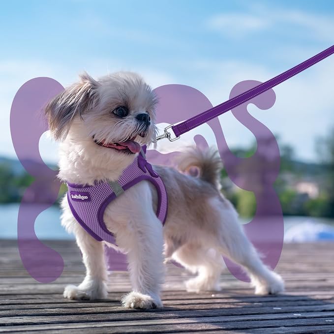 rabbitgoo Dog Harness Small Sized and Leash Set, Step in Soft Vest | Breathable Mesh, Easy Wear with Hook & Loop, Light and Reflective for Walking, Multi-colored, Light Purple & Purple, S