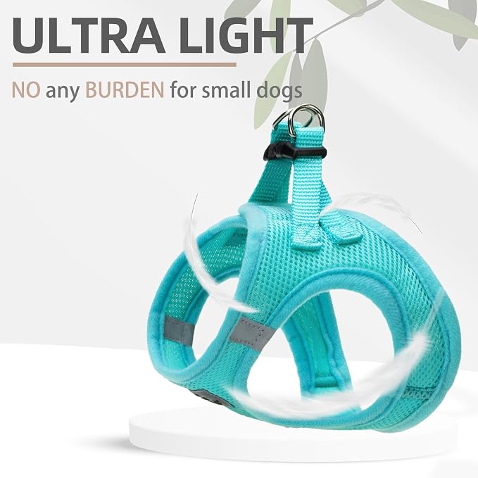 PUPTECK Adjustable Dog Harness Collar and Leash Set Step in No Pull Pet Harness for Small Medium Dogs Puppy and Cats Outdoor Walking Running, Soft Mesh Padded Reflective Vest Harnesses, Turquoise XS