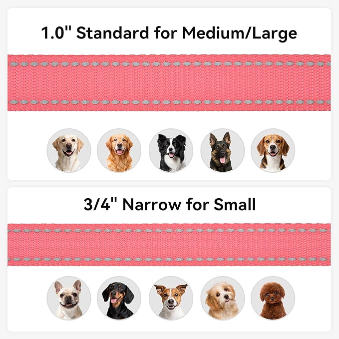 Joytale Reflective Dog Leash for Small Dogs, 4 FT x 3/4", Neon Pink | Heavy Duty Nylon Webbing, Padded Handle for Comfort, Visible at Night, for Walking & Training