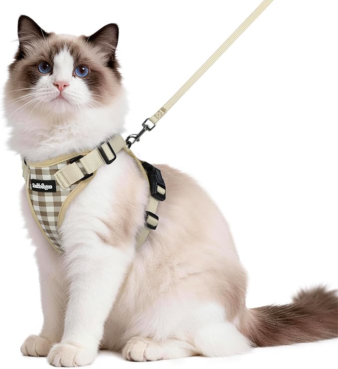 rabbitgoo Cat Harness and Leash Set, Escape Proof Vest, Foamy Coffee | Soft Breathable Mesh, Easy Adjustable Fit, Snap Buckles, Sturdy Clip, Reflective Strips, for Medium to Large Cats Walks, M