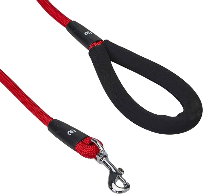 Blueberry Pet Classic Matching Dog Collar & Rope Leash Set in Red, Adjustable Neoprene for Small Dogs - Puppy Essentials, Heavy Duty Rope Dog Leashes, 4 ft Leash, Award Winning Brand
