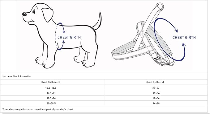 Blueberry Pet 4 Colors Soft & Comfy 3M Reflective Jacquard Padded Dog Harness, Chest Girth 30" - 38.5", Purple Grey, Large, Adjustable Harnesses for Dogs