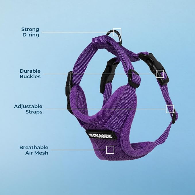 Voyager Step-in Lock Dog Harness - Purple, X-Small | 13 - 16" in Chest, Adjustable, Breathable Air Mesh, Lightweight for Daily Walks, Strong Clips, Heavy Duty D-Ring