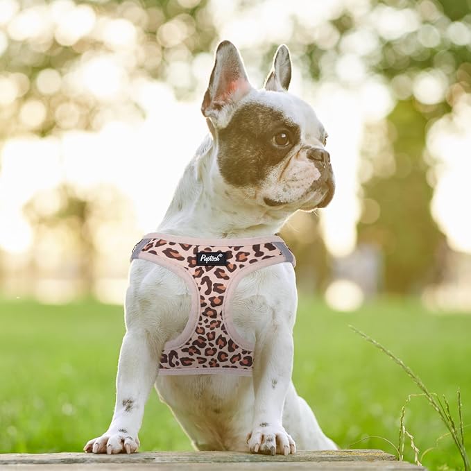 PUPTECK Dog Harness and Leash Set for Small Medium Dogs No Pull Step-in Soft Mesh Puppy Cat Vest Harnesses Reflective at Night, Brown Leopard Print, M