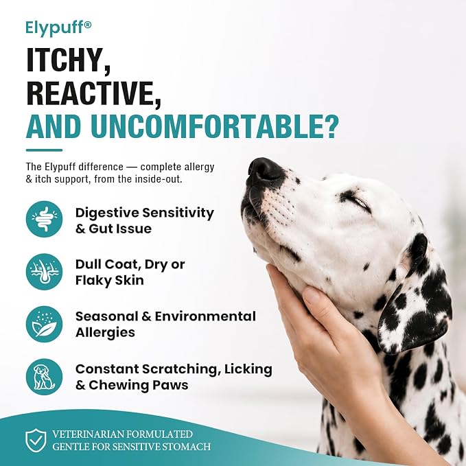Dog Allergy Chews 130ct - Itch Relief Dog Allergy and Itching Skin Relief Anti Itch Aller Immune Bites for Dogs Licking Paws Treatment - Probiotics Vitamins for Itchy Skin, Ears & Yeast,Chicken Flavor