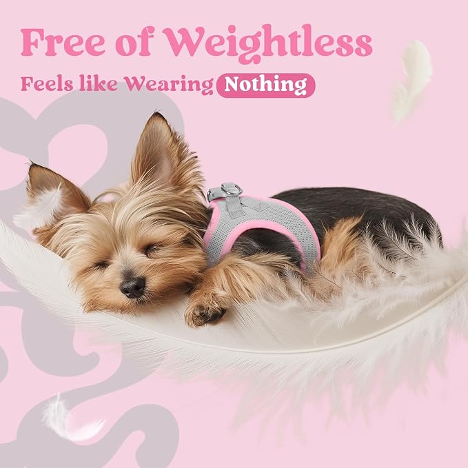 rabbitgoo Step-in Small Dog Harness, Puppy Vest for Small Sized Pet | Easy Put on and off, Lightweight, Soft, Breathable Quick-Dry Air Mesh for Comfortable Secure Walking, Light Pink & Gray M
