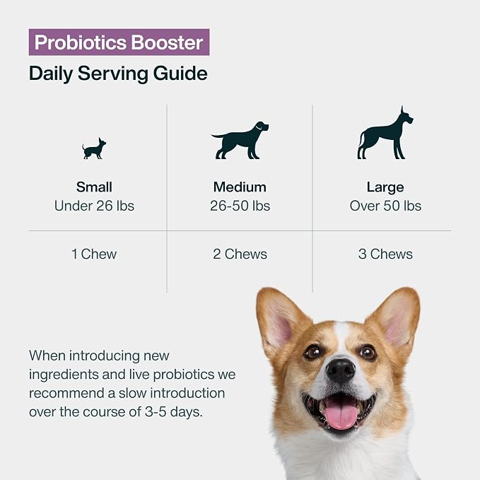 JustFoodForDogs Probiotic Booster Supplements for Dogs, Gut Health - 45 Ct | Human Grade, Dog Supplement for Immune & Digestive Support, Multivitamin Soft Chews, Superfood Blend, Plant Based Dog Vitamin