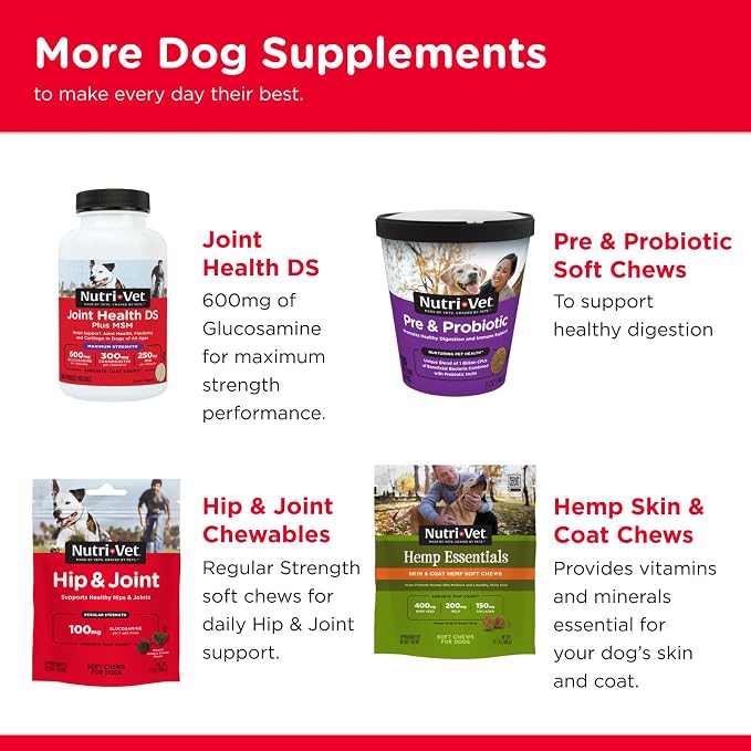 Nutri-Vet Hip & Joint Dog Biscuits, Dog Treats, 300mg Glucosamine, 6 lb Bag