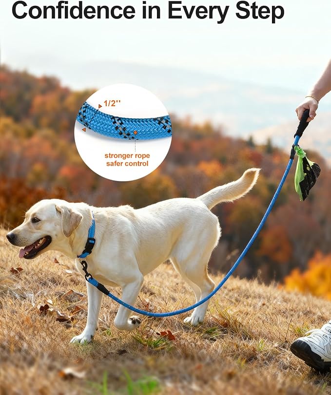 Joytale Rope Dog Leash for Medium Large Dogs, Padded Handle, 5FT, Aqua Blue | Reinforced Nylon Webbing, Comfort Grip Eases Hand Strain, Swivel Clip Prevents Tangles, Visible at Night, for Outdoor Walks
