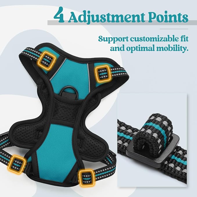 rabbitgoo Dog Harness No Pull with 2 Leash Clips, Adjustable Soft Padded, Reflective Oxford No Choke Pet Vest with Easy Control Handle for Puppy, Teal, XS | No Choke with Handle, Adjustable Soft Padded, Reflective, Easy Control for Walking, Teal, X-Small