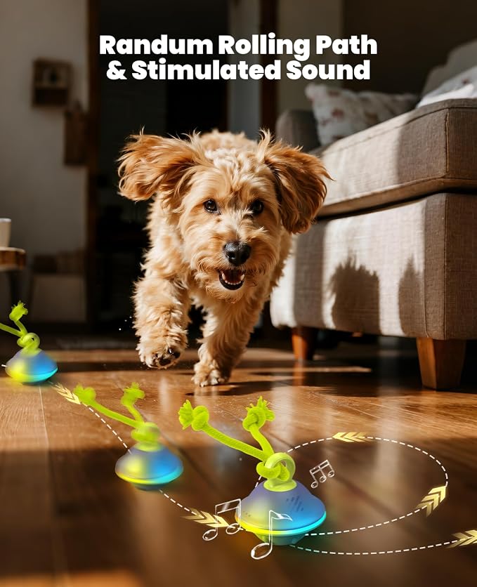 Xeuch Interactive Dog Ball with Rope, Motion Activated Squeaky Ball, Green | 3 Speeds, Bird Chirps, Voice Recording, 7 LED Modes, Type-C Recharge, 4-hour Playtime, Silicone Shell, for Small-medium Dogs