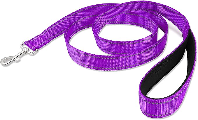Joytale Dog Collar Bundle with 5FTx3/4 Width Double-Sided Reflective Dog Leash,5FT Nylon Dog Leashes with Nylon Dog Collar for Small Dogs,Purple